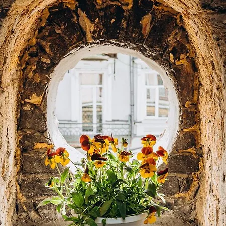 Otel Esther House Museum Odessa